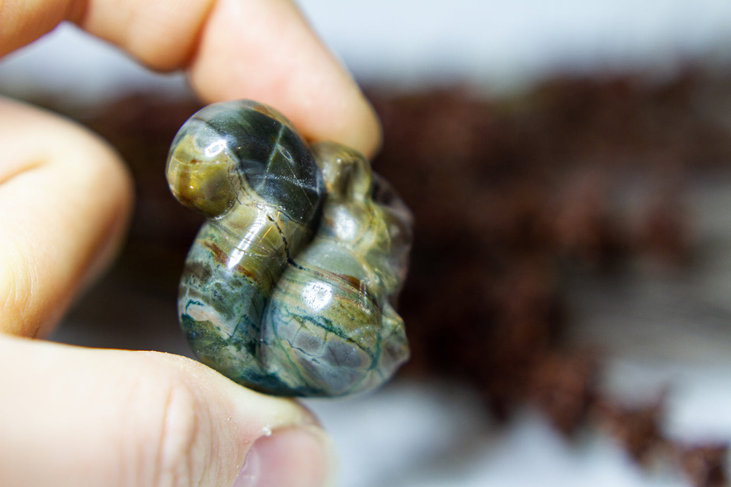 Polychrome Jaspis - Ekorre đż