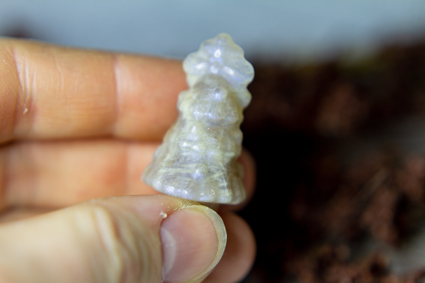 MĂ„nsten - Julgran đ °