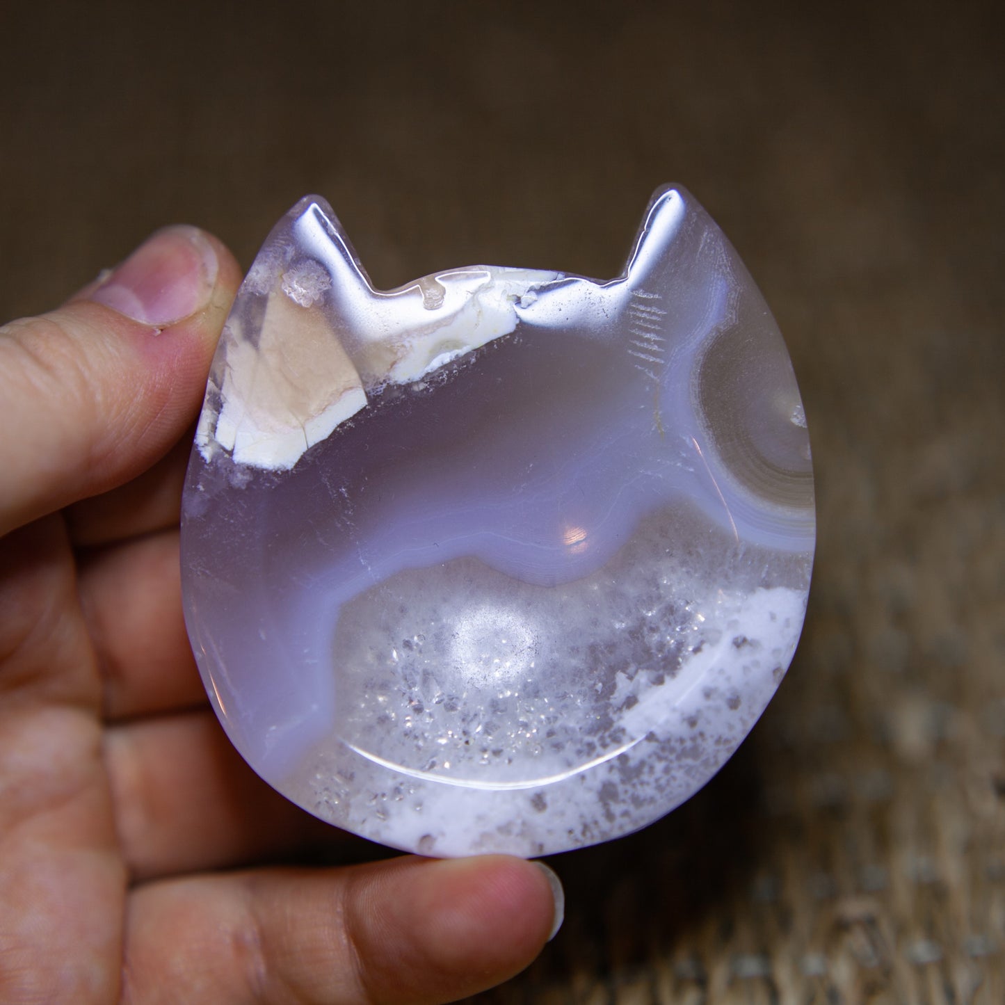 Blomsteragat - skål katt