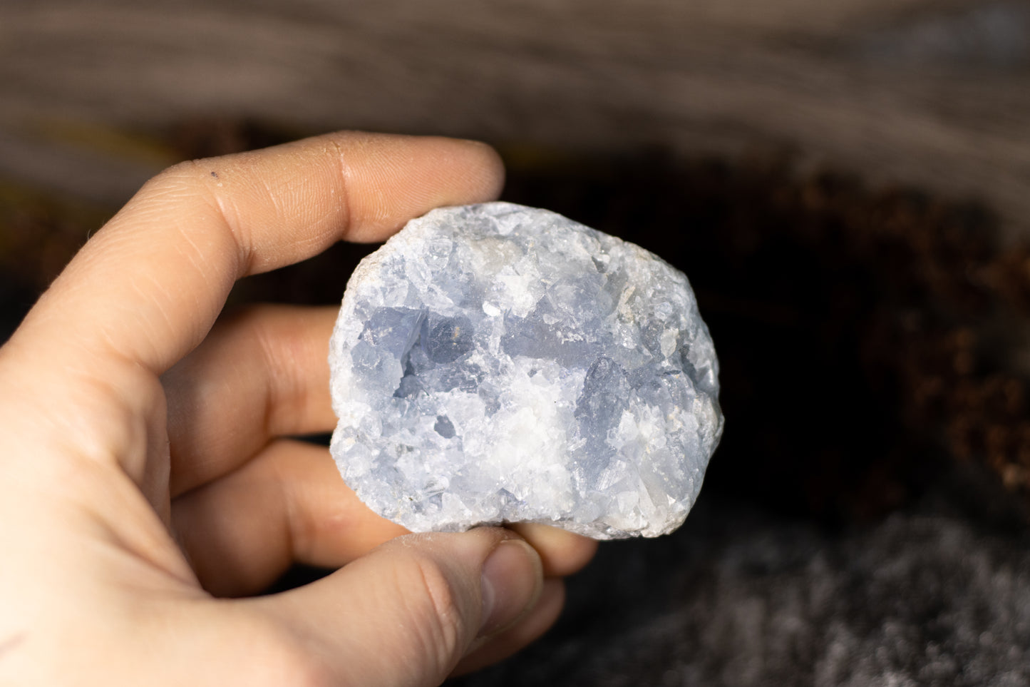 Celestin - kluster H