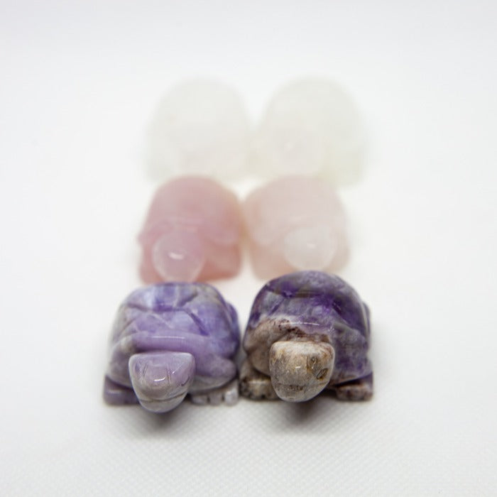 Sköldpadda i kristall