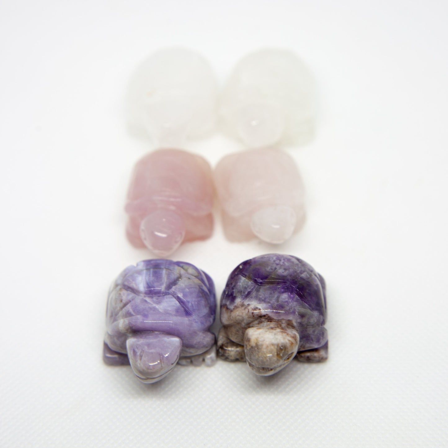 Sköldpadda i kristall