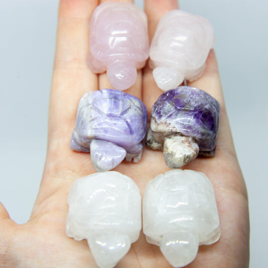 Sköldpadda i kristall