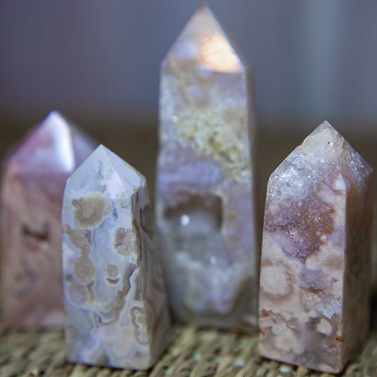 Rosa Ametist - spetsar