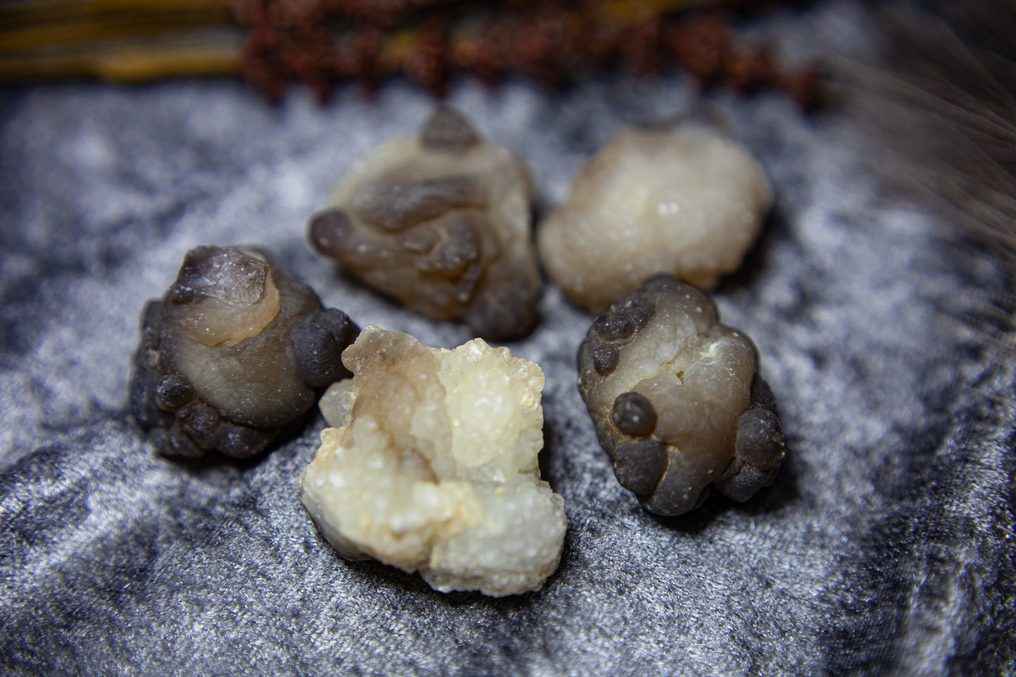 Panda Agate/Truffle Chalcedony - big boulder