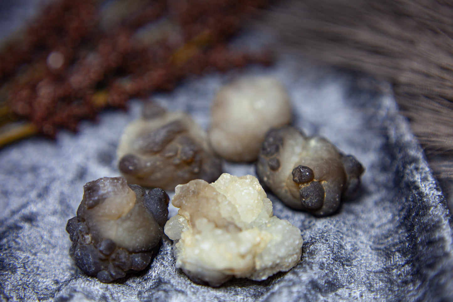 Panda Agate/Truffle Chalcedony - big boulder