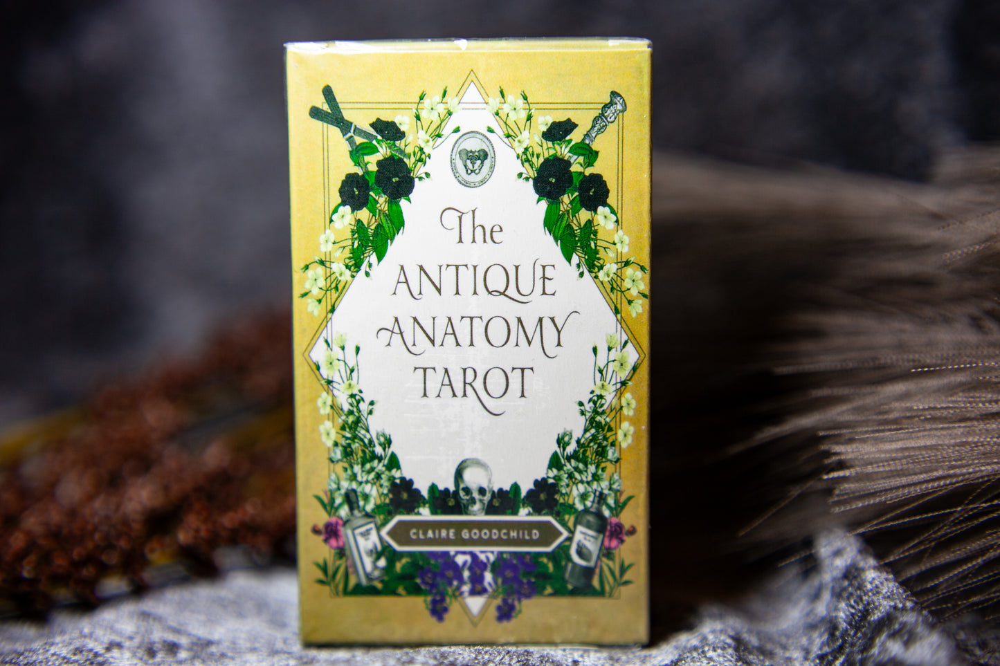 The Antique Anatomy Tarot