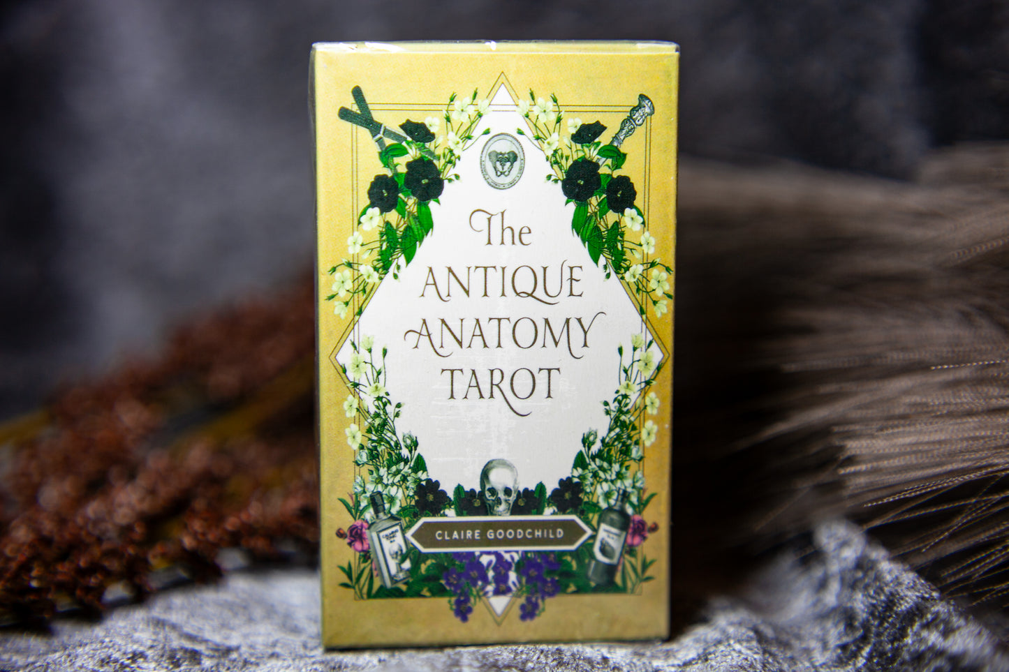 The Antique Anatomy Tarot