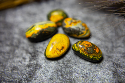 Bumble bee Jasper - tumbled