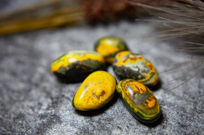Bumble bee Jasper - tumbled
