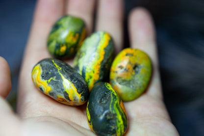 Bumble bee Jasper - tumbled