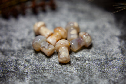 Flower Agate - mini mushrooms (wider)