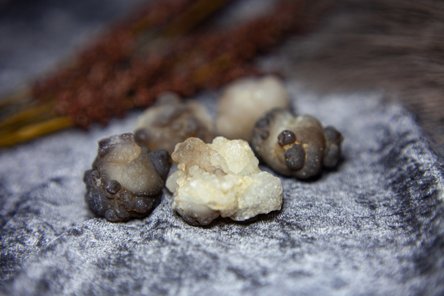 Panda Agate/Truffle Chalcedony - big boulder