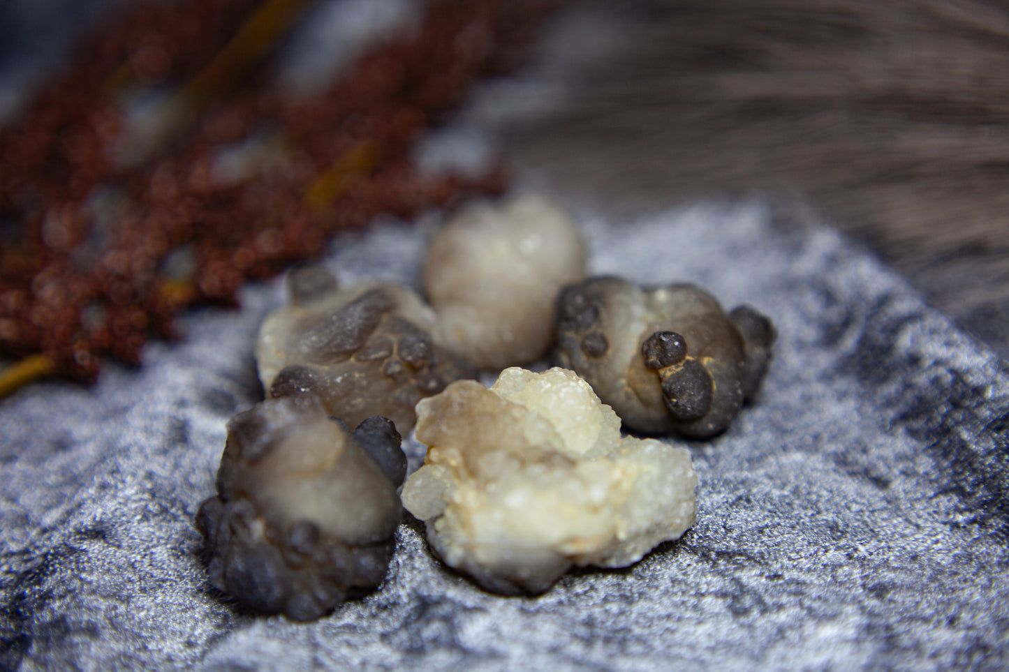 Panda Agate/Truffle Chalcedony - big boulder