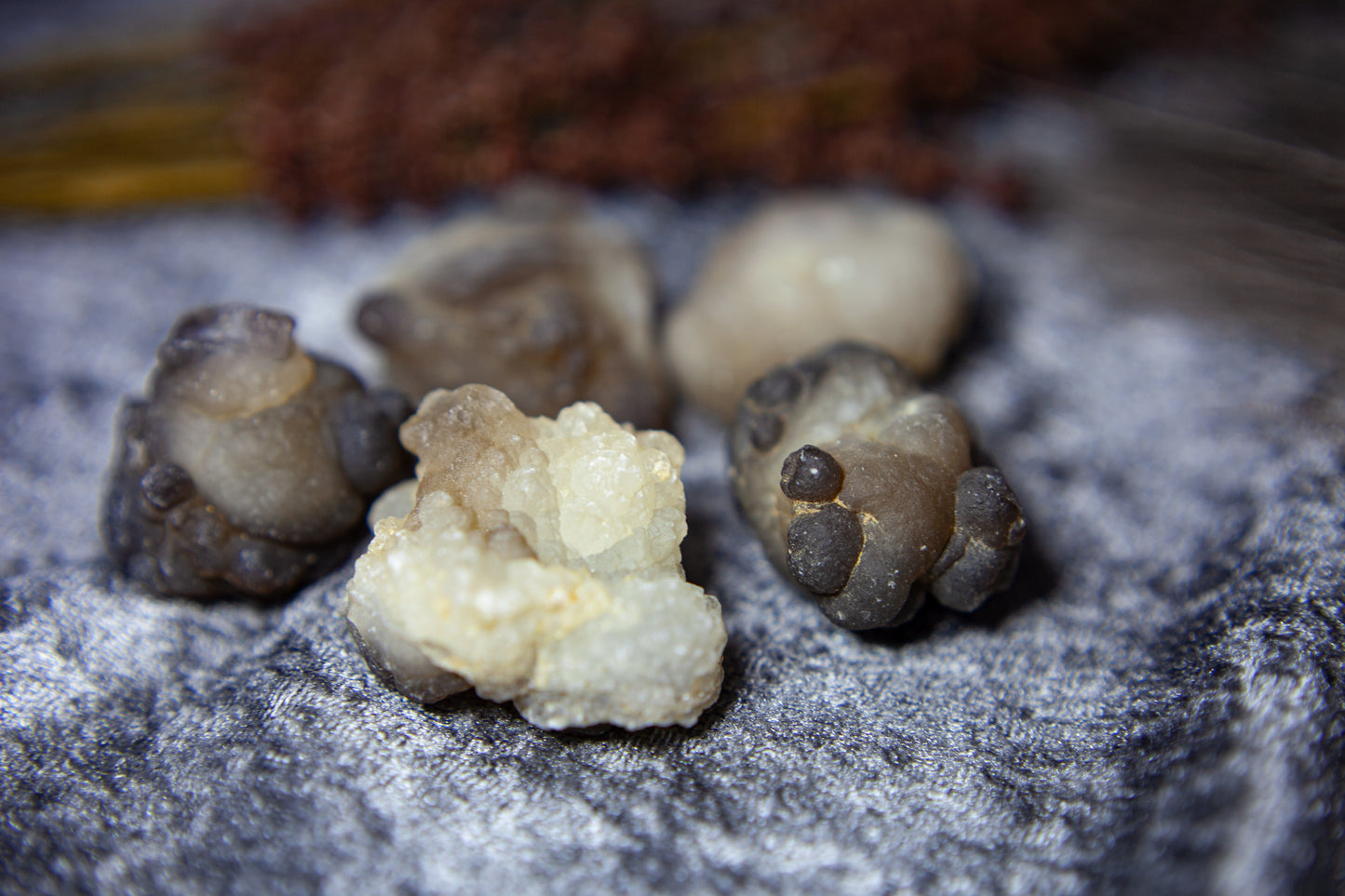 Panda Agate/Truffle Chalcedony - big boulder