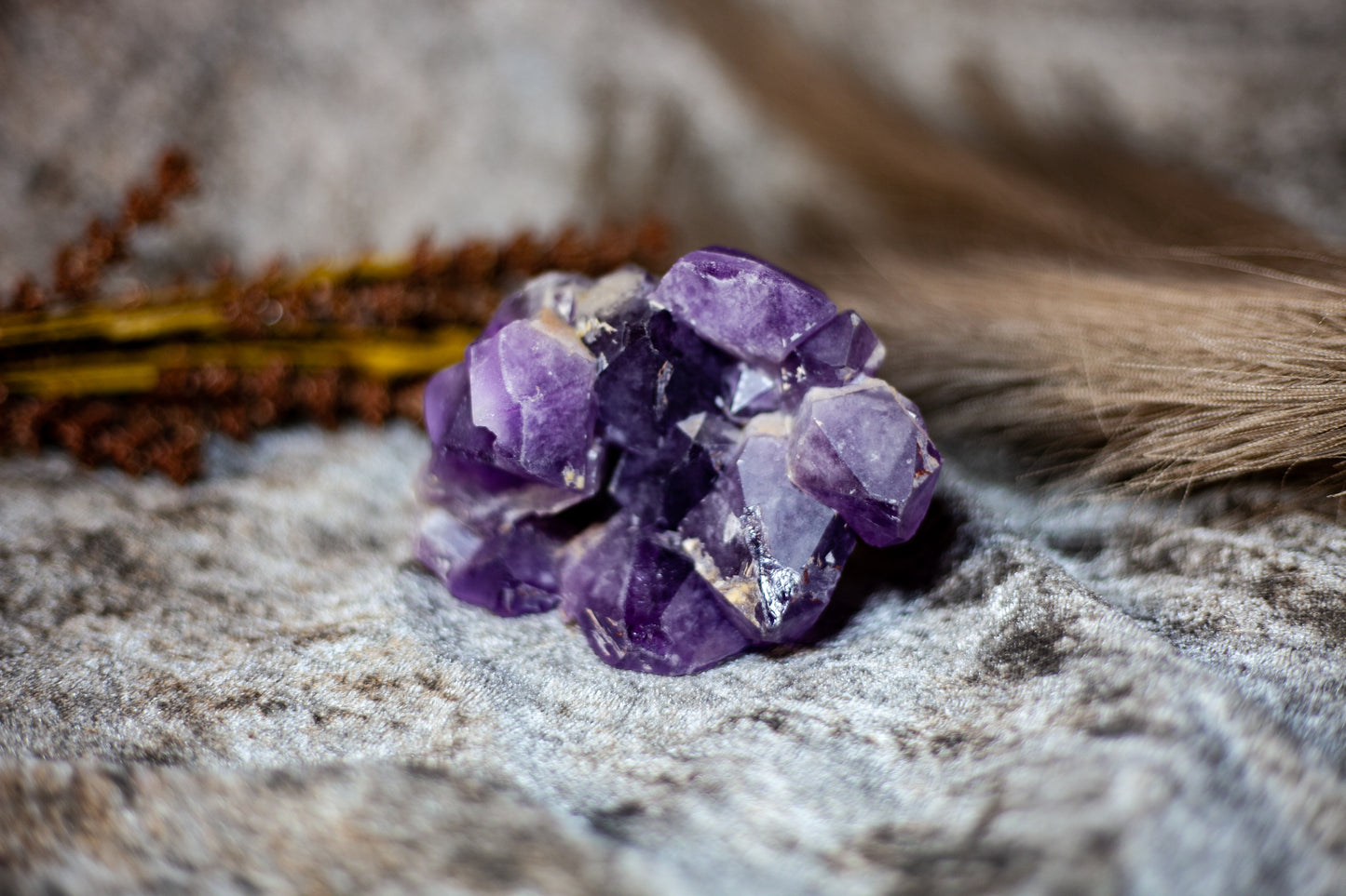 Amethyst - large skull cluster 1