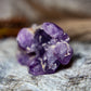 Amethyst - large skull cluster 1