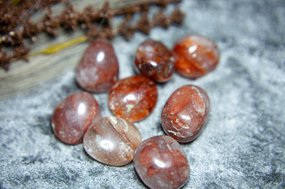 Röd Golden Healer/Hematoid - trumlad