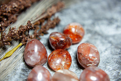 Röd Golden Healer/Hematoid - trumlad