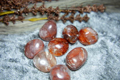 Röd Golden Healer/Hematoid - trumlad