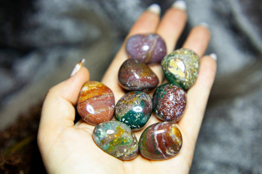 Ocean Jaspis - trumlad