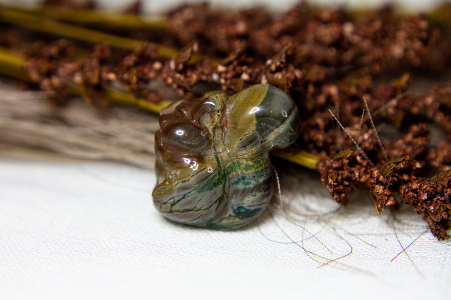 Polychrome Jaspis - Ekorre 🐿