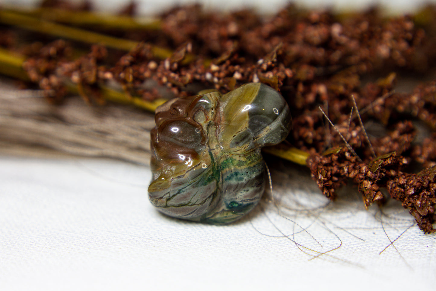 Polychrome Jaspis - Ekorre 🐿