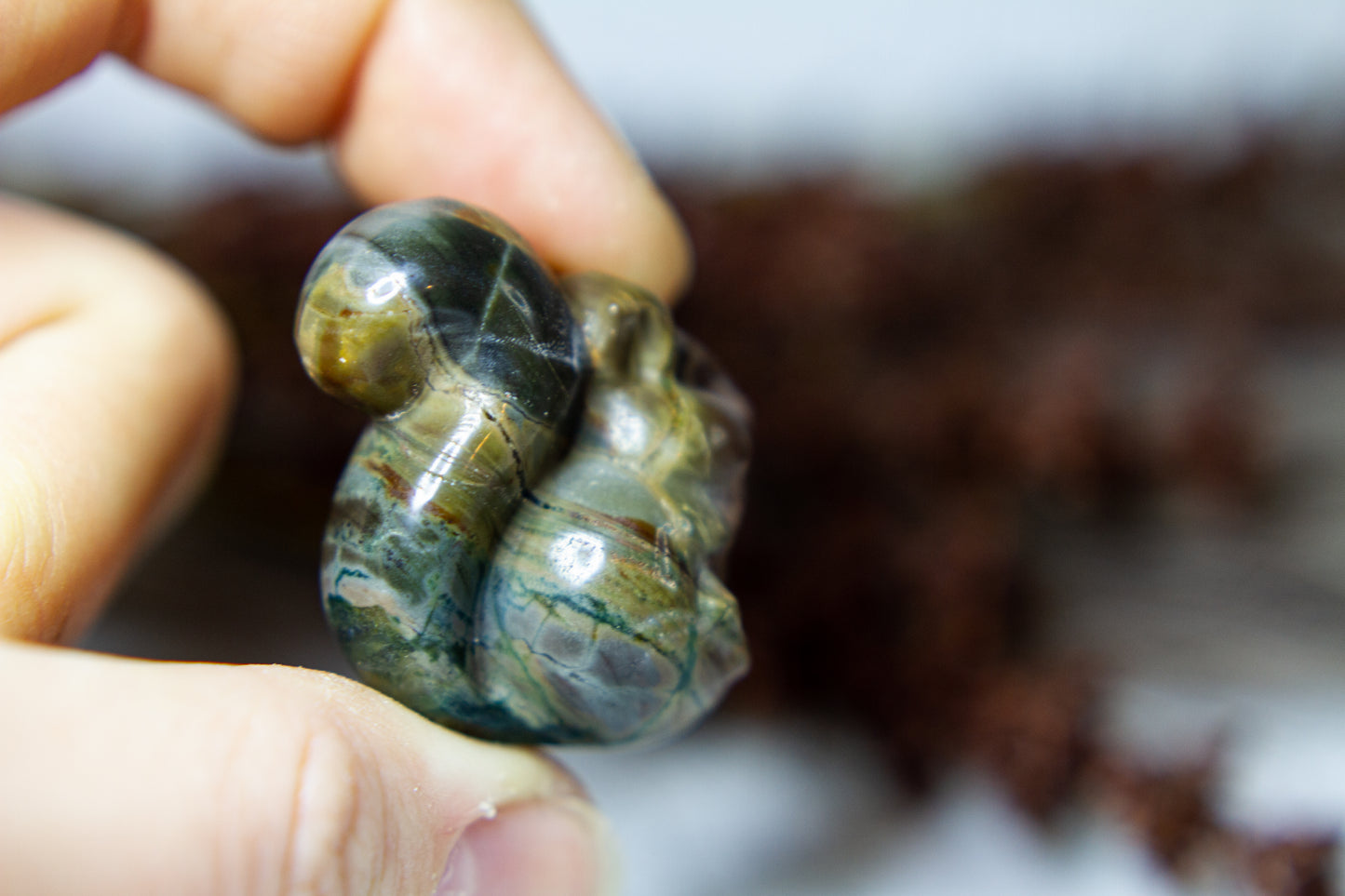 Polychrome Jaspis - Ekorre 🐿