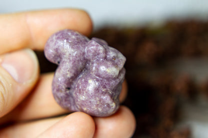 Lepidolite - Squirrel 🐿