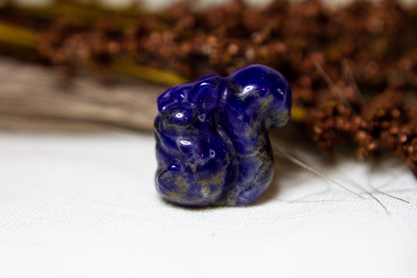 Sodalit - Ekorre 🐿