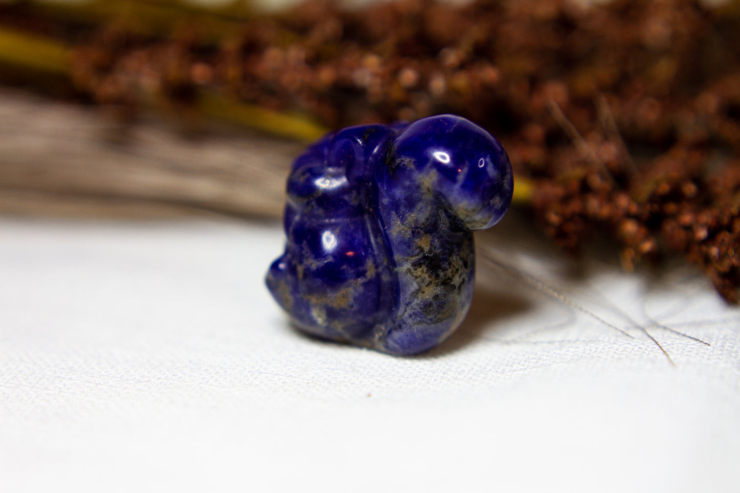 Sodalit - Ekorre 🐿