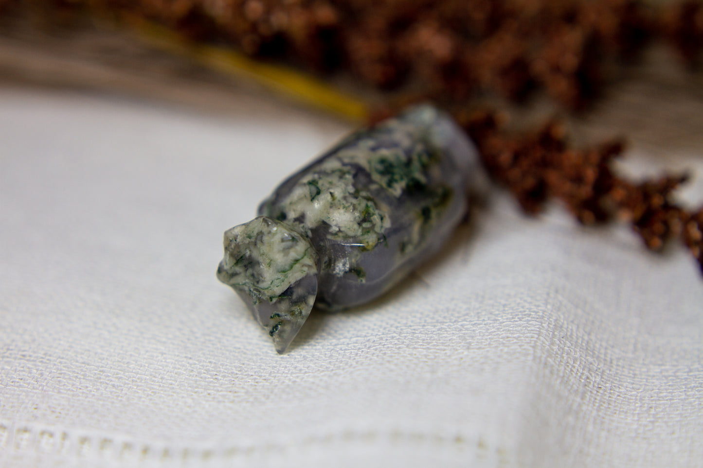 Mossagat - Karamell ☕︎