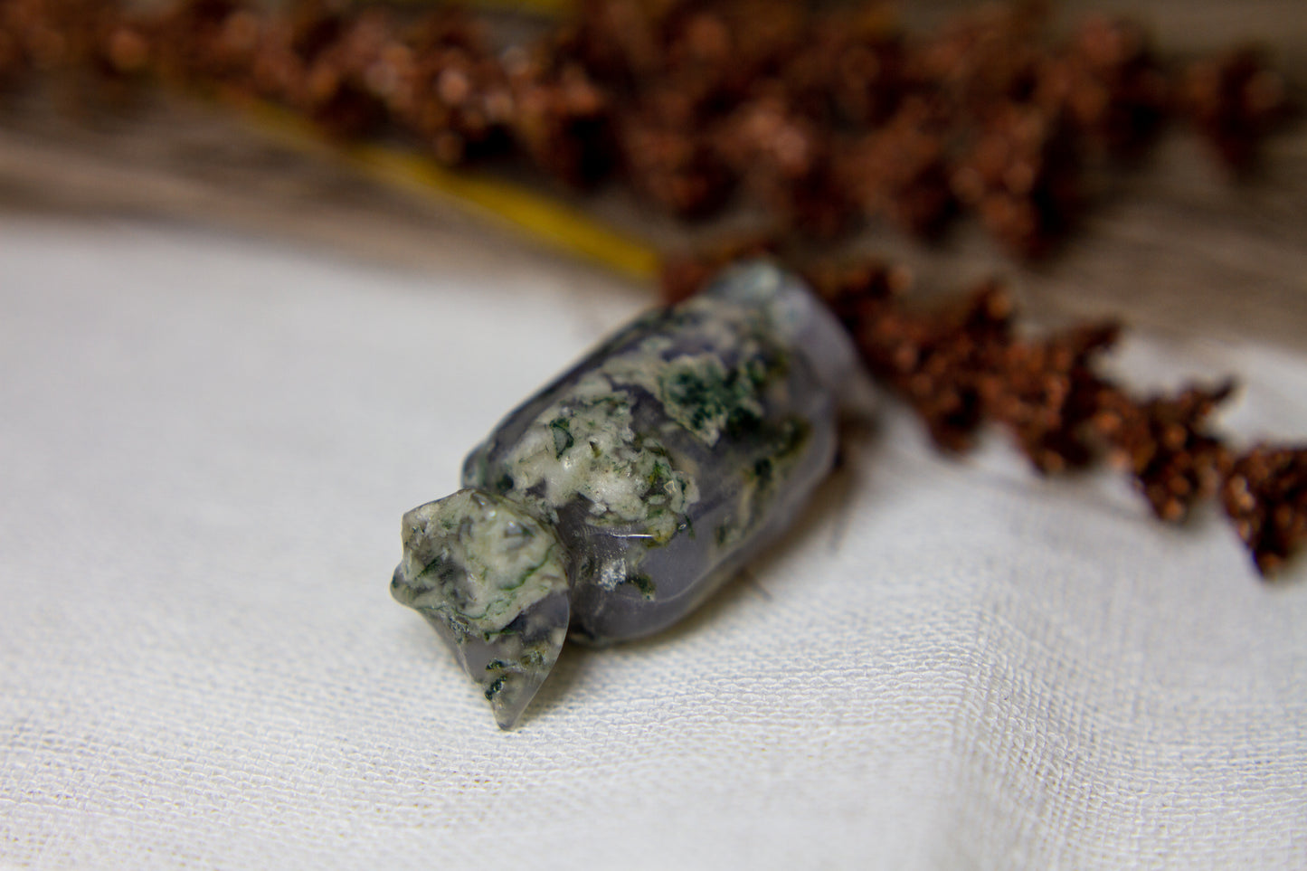 Mossagat - Karamell ☕︎