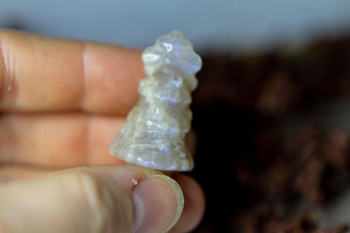 Månsten - Julgran 𖠰