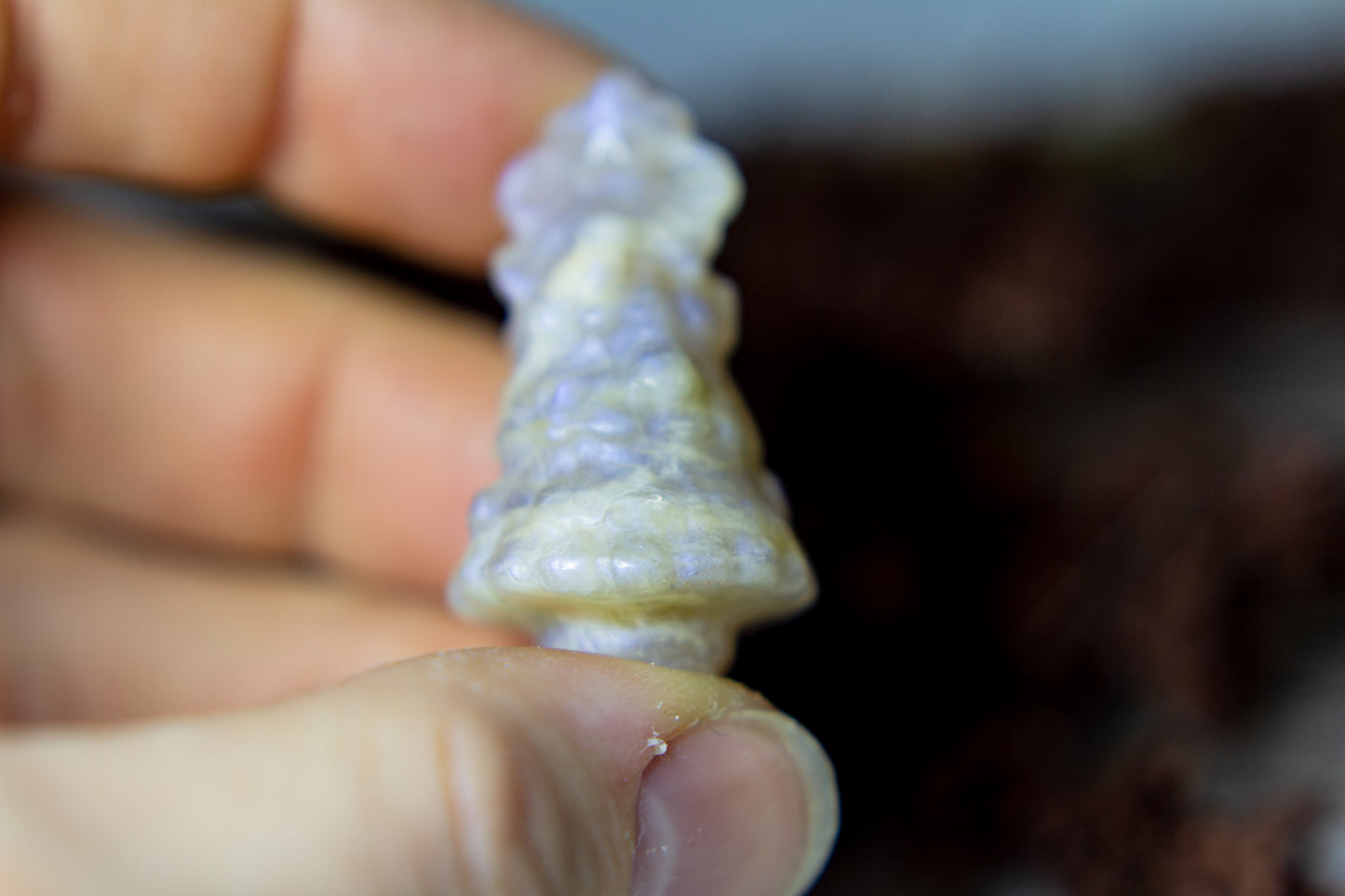 Månsten - Julgran 𖠰