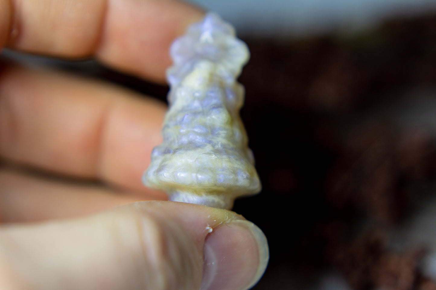 Månsten - Julgran 𖠰