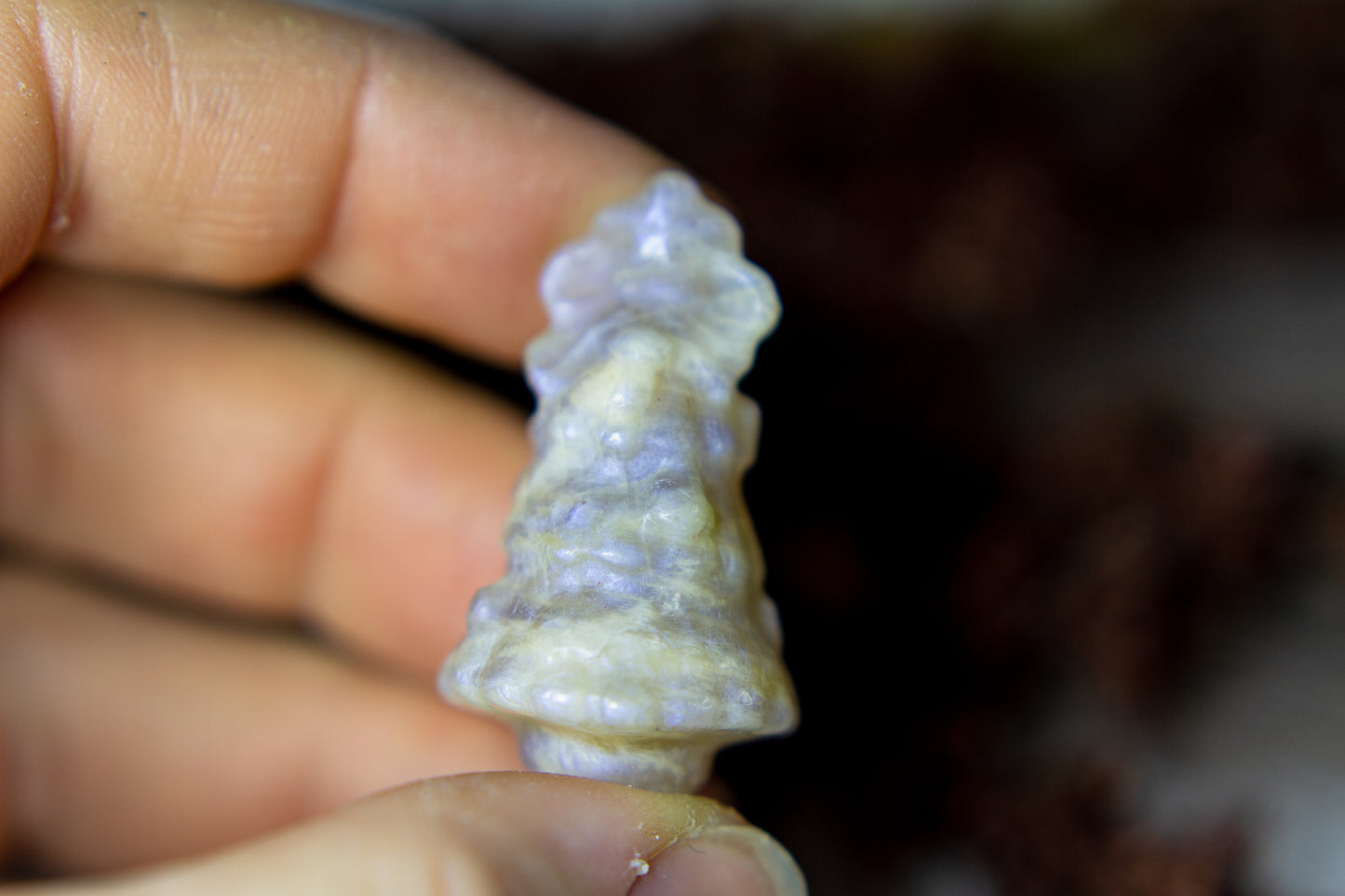 Månsten - Julgran 𖠰