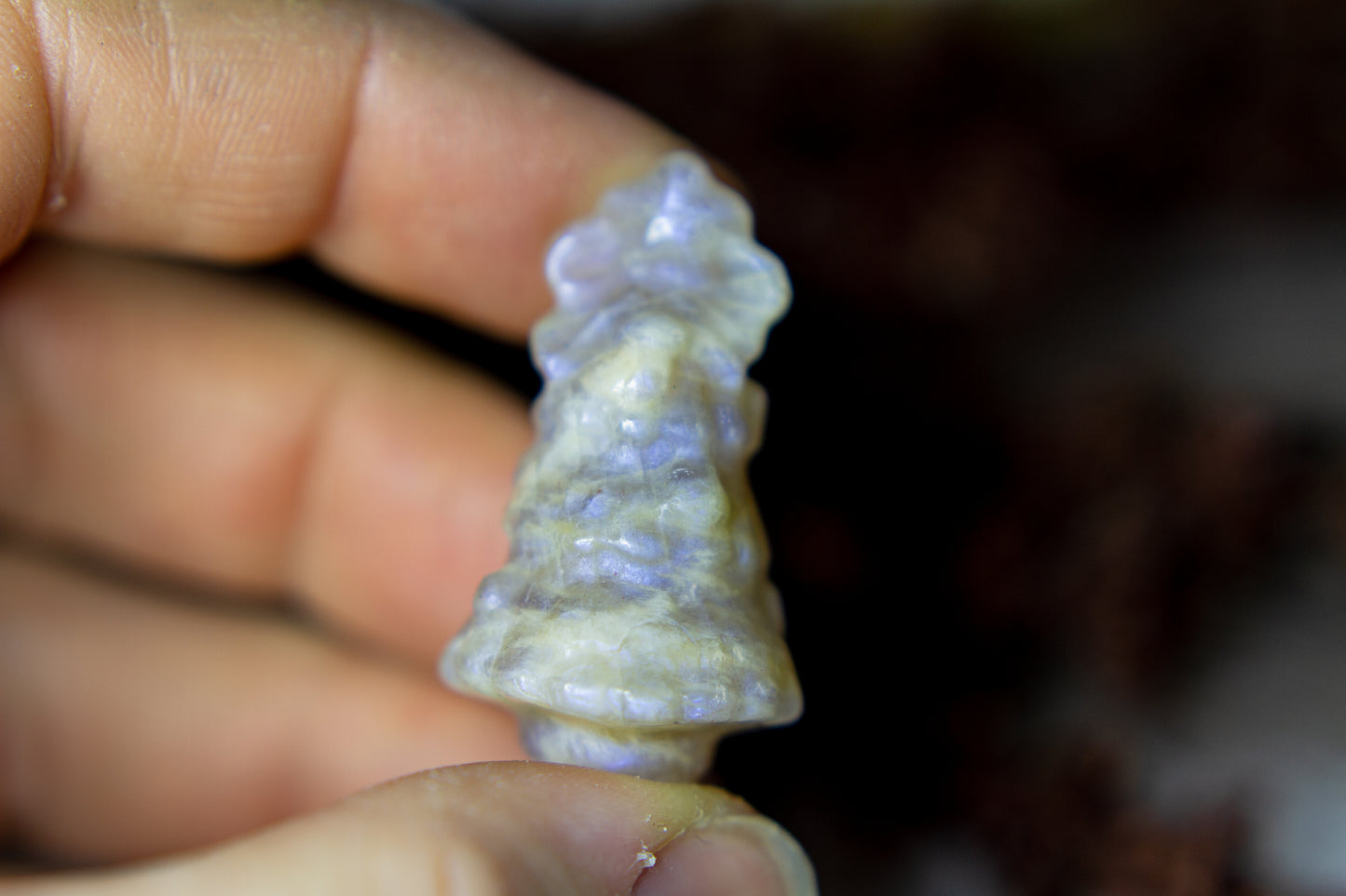 Månsten - Julgran 𖠰