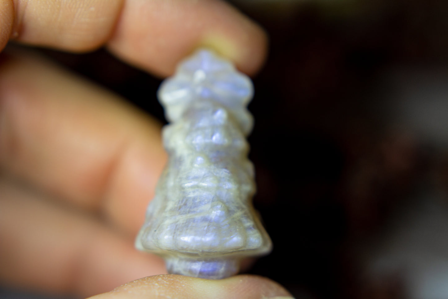 Månsten - Julgran 𖠰