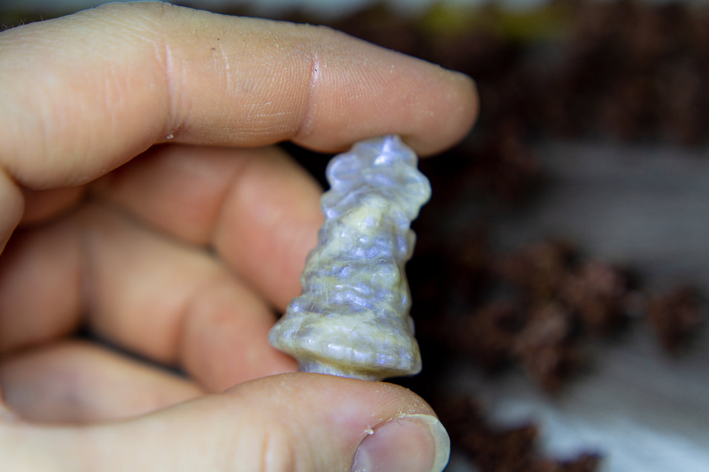 Månsten - Julgran 𖠰