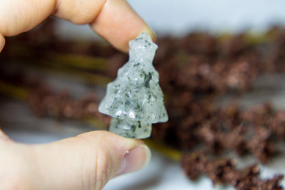 Bredare Julgranar 𖢔⋆