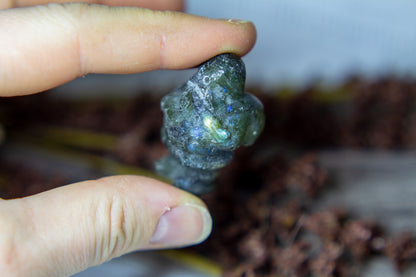 Labradorit - Jultomte 𖠋