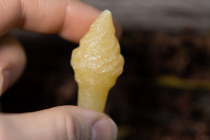 Orange Kalcit - Glass