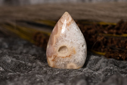 Rosa Ametist - friform B