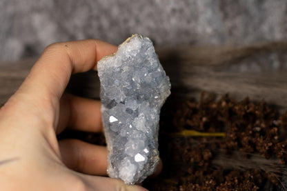 Celestin - kluster A