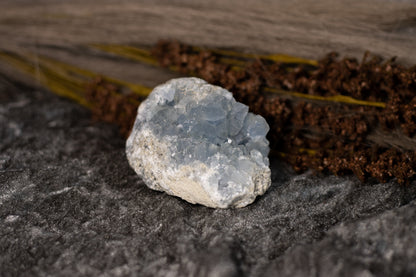 Celestin - kluster B