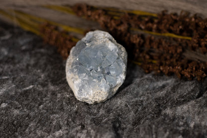 Celestin - kluster B