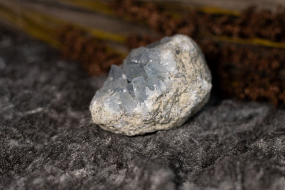 Celestin - kluster B