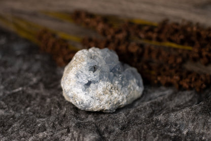 Celestin - kluster B