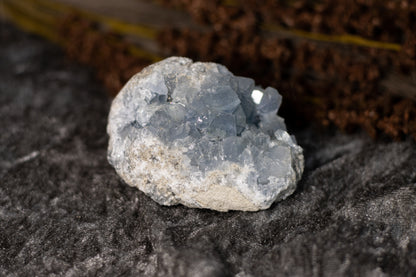 Celestin - kluster B